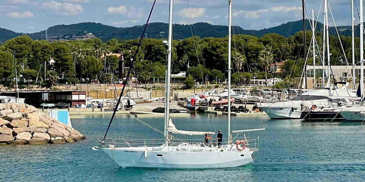 Minca Zeehond 36