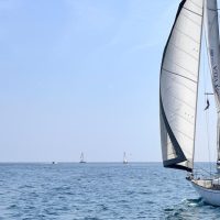 barcos