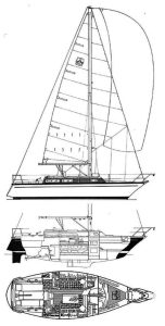 086-TaylorD31