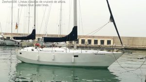 001-Zeehond-36