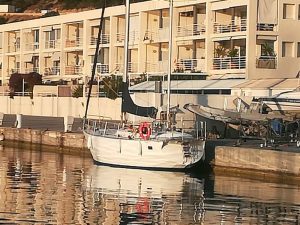 003-Zeehond-36