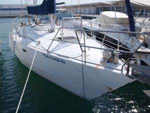 005-Zeehond-36