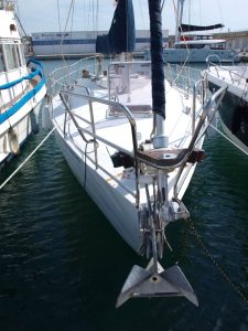 006-Zeehond-36