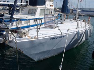 007-Zeehond-36