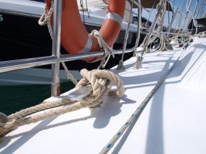 011-Zeehond-36