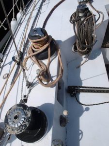 014-Zeehond-36