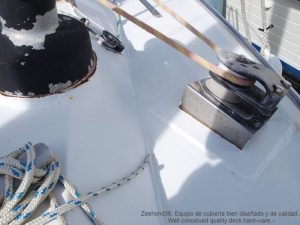 017-Zeehond-36