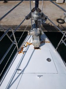 023-Zeehond-36