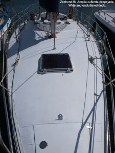 027-Zeehond-36